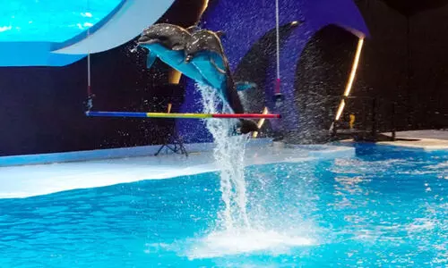 ബോ​ളി​​വാ​ഡ്​ വേ​ൾ​ഡ്​