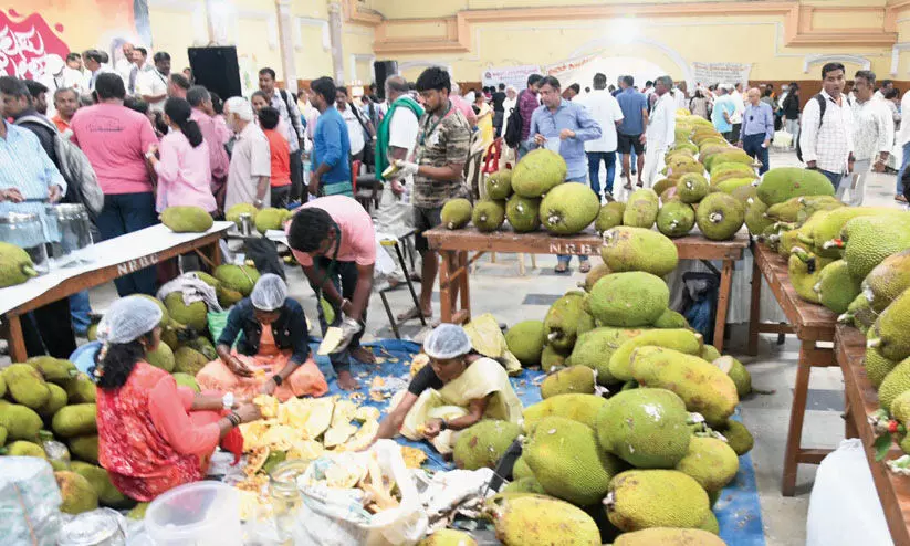 മൈസൂരുവിൽ ചക്ക മേള ഇന്ന് സമാപിക്കും മൈസൂരുവിൽ ചക്ക മേള ഇന്ന് സമാപിക്കും