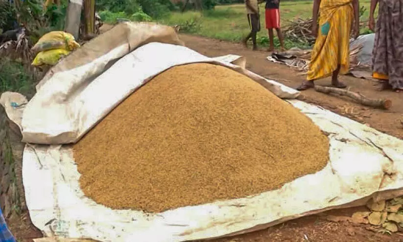 നെല്ല്​ സംഭരണം; തർക്കം പരിഹരിക്കാൻ നിർദേശവുമായി പാടശേഖര സമിതികൾ