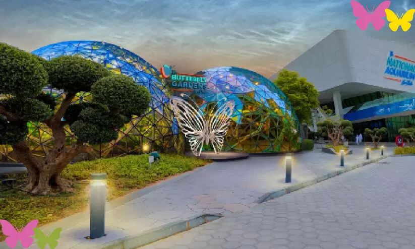 വിസ്മയിപ്പിക്കാൻ ചിത്രശലഭ ഉദ്യാനം വിസ്മയിപ്പിക്കാൻ ചിത്രശലഭ ഉദ്യാനം