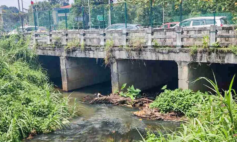 അടൂർ ബൈപാസ്​ പാലത്തിനടിയിൽ മാലിന്യം കെട്ടിക്കിടക്കുന്നു
