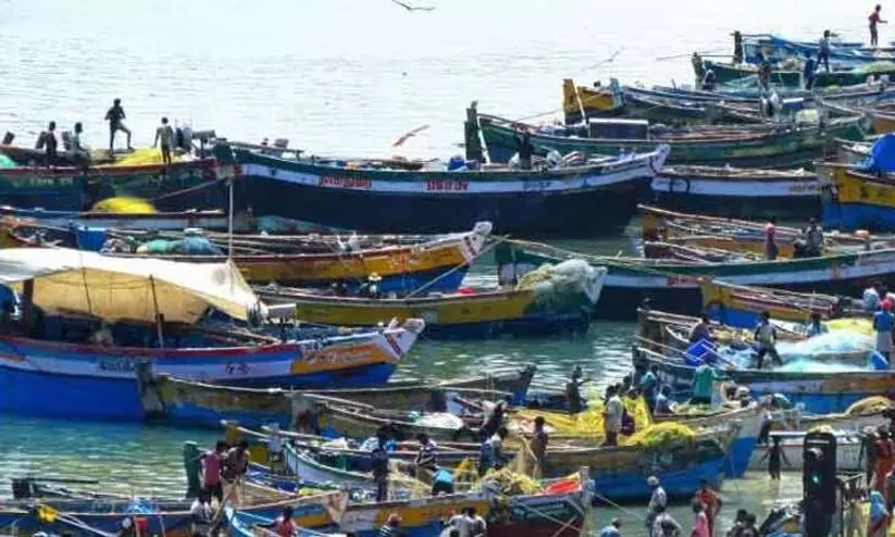 വിഴിഞ്ഞം ഫിഷിങ്​ ഹാർബർ നവീകരണം:നടപടികൾ ഊർജിതമാക്കി സർക്കാർ