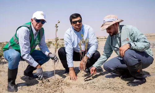 സ​മു​ദ്ര സം​ര​ക്ഷി​ത മേ​ഖ​ല​യി​ൽ 30 ല​ക്ഷം ക​ണ്ട​ൽ സ​സ്യ​ങ്ങ​ൾ ന​ടീ​ലി​ന്​ തു​ട​ക്കം