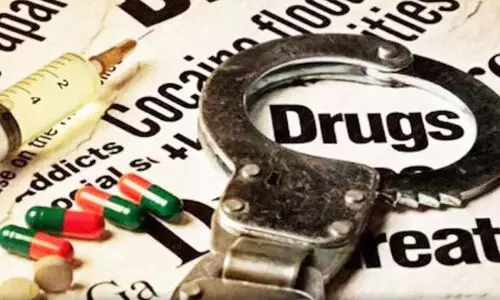 ബി​സി​ന​സ് പ​ങ്കാ​ളി​ക്കെ​തി​രെ വ്യാ​ജ മ​യ​ക്കു​മ​രു​ന്ന് കേ​സ്​​: സ്വ​ദേ​ശി​ക​ള്‍ക്ക് ത​ട​വും പി​ഴ​യും