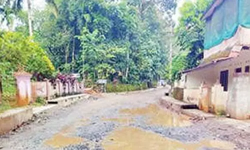 തുരുത്തി-മുളക്കാന്തുരുത്തി റോഡ് നിര്‍മാണം എസ്.പി.എല്‍ ഇന്‍ഫ്രാ ലിമിറ്റഡ് കമ്പനിക്ക്