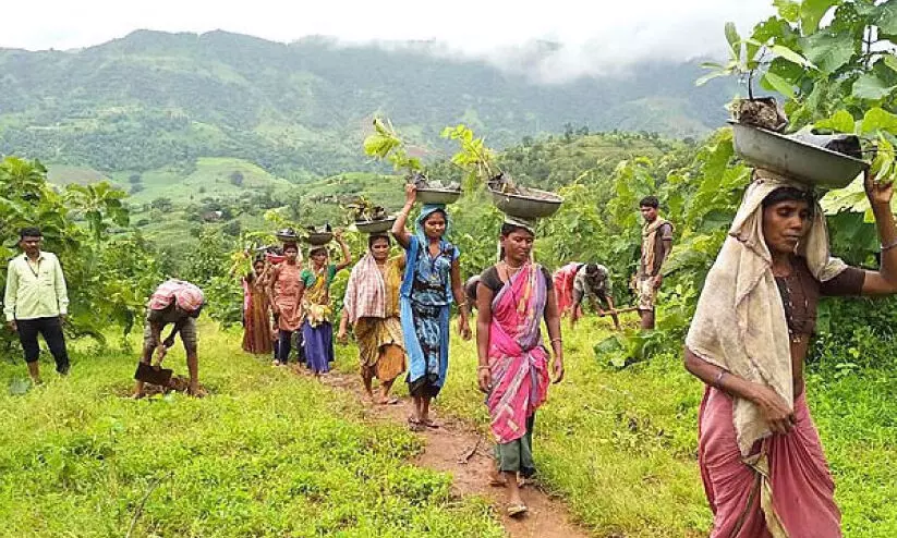 വ​നാ​വ​കാ​ശ​ങ്ങ​ൾ പു​നഃ​സ്ഥാ​പി​ക്ക​ണ​മെ​ന്ന ആ​വ​ശ്യ​വു​മാ​യി ആ​ദി​വാ​സി​ക​ൾ