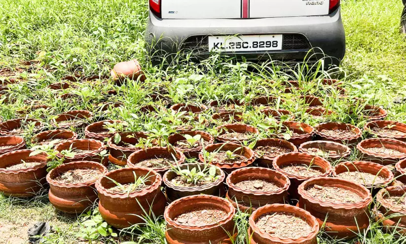 സൗന്ദര്യവത്​കരണം പേരിലൊതുങ്ങി; ചെടിച്ചട്ടികൾക്ക്​ പൊലീസ് സ്റ്റേഷനിൽ വിശ്രമം