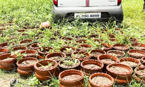 സൗന്ദര്യവത്​കരണം പേരിലൊതുങ്ങി; ചെടിച്ചട്ടികൾക്ക്​ പൊലീസ് സ്റ്റേഷനിൽ വിശ്രമം