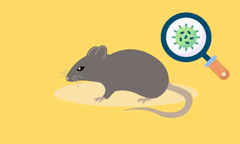 എലിപ്പനി: കര്ണാടകയില് 372 കേസുകള് സ്ഥിരീകരിച്ചു എലിപ്പനി: കര്ണാടകയില് 372 കേസുകള് സ്ഥിരീകരിച്ചു