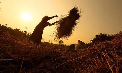 സം​ഭ​രി​ച്ച നെ​ല്ലി​ന്‍റെ വി​ല ഉ​ട​ൻ   കൊ​ടു​ത്തു​തീ​ർ​ക്കും -മ​ന്ത്രി ജി.​ആ​ർ. അ​നി​ൽ