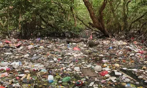 വനത്തിൽ മാലിന്യം തള്ളൽ വ്യാപകമാകുന്നു