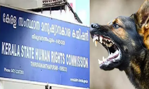 പേവിഷബാധയെ തുടർന്നുള്ള മരണം: അന്വേഷണ സംഘത്തെ നിയോഗിക്കണം -മനുഷ്യാവകാശ കമീഷൻ