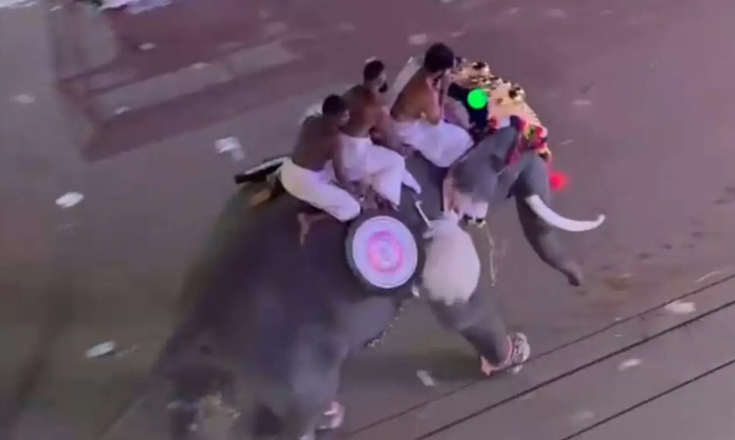 ആനകൾ വിരണ്ടോടി; നിരവധി പേർക്ക്​ പരിക്ക്​