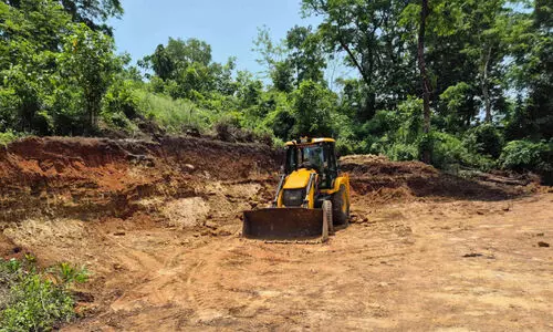 ഷെല്ട്ടര് ഹോം കാടിനുള്ളില്; എ.ബി.സി പദ്ധതി ഫയലിലും ഷെല്ട്ടര് ഹോം കാടിനുള്ളില്; എ.ബി.സി പദ്ധതി ഫയലിലും