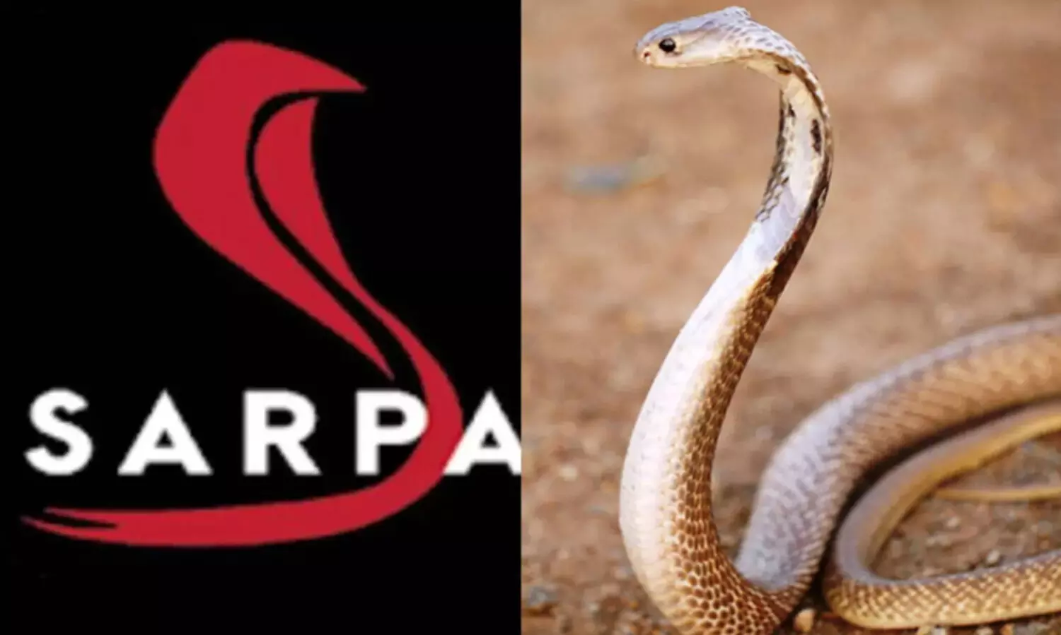 സർപ്പ ആപ്പിൽ വിവരങ്ങൾ ഇല്ല; 64 വളണ്ടിയർമാരെ ഒഴിവാക്കി