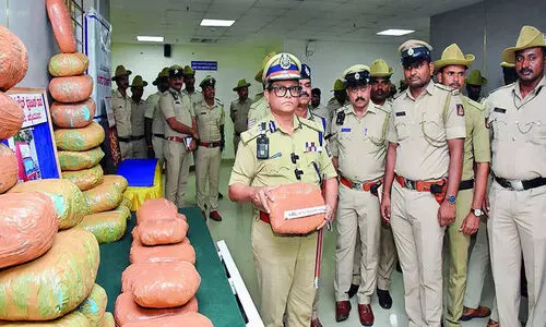 109 കി​ലോ ക​ഞ്ചാ​വ് പി​ടി​കൂ​ടി