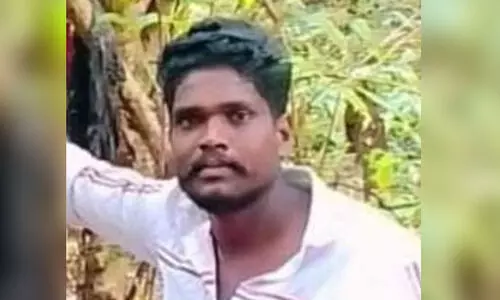 മാങ്ങ പറിക്കുന്നതിനിടെ ഇരുമ്പുതോട്ടി 11 കെ.വി ലൈനിൽ വീണു;  യുവാവിന് ദാരുണാന്ത്യം