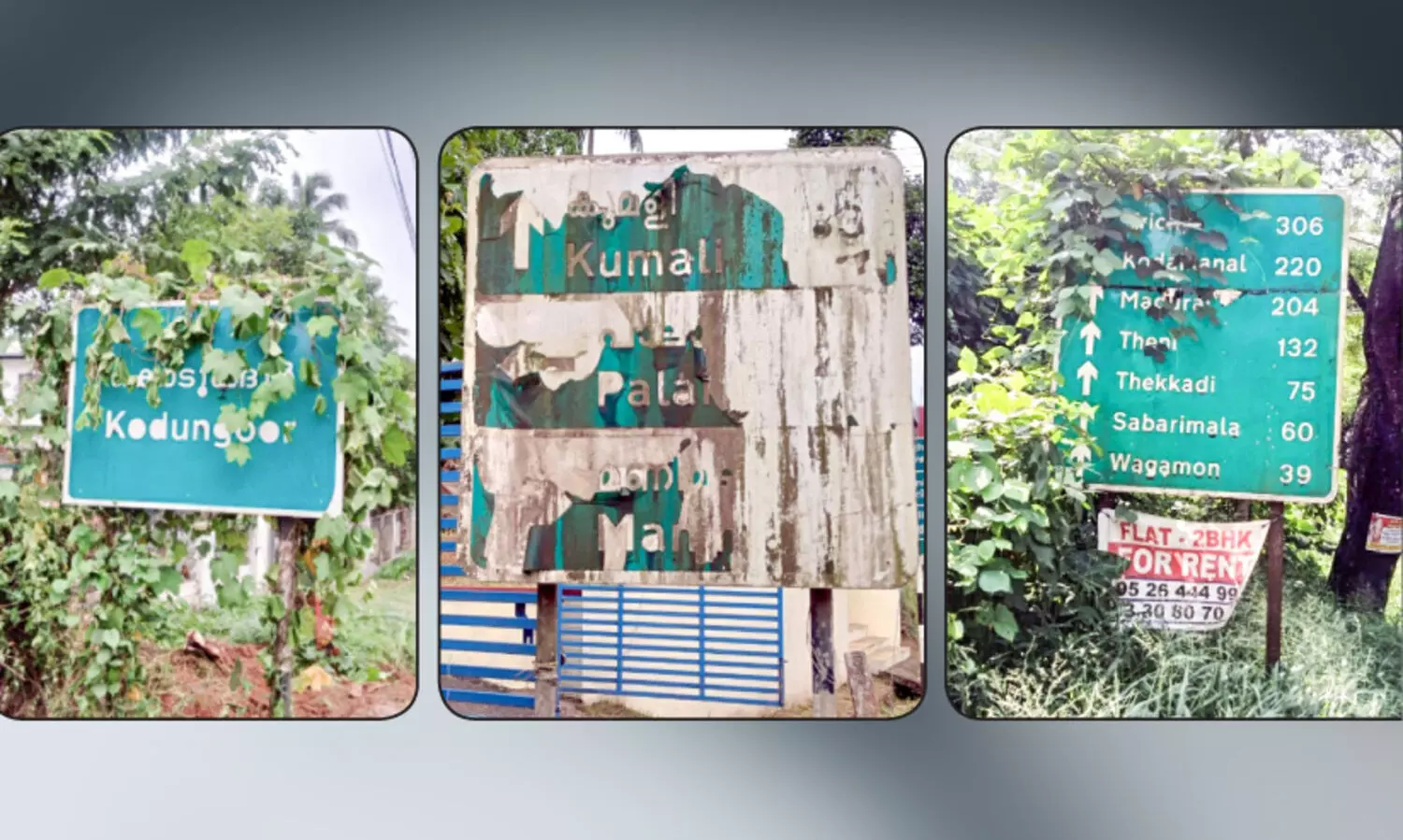 വഴി ചോദിച്ചുചോദിച്ച്​ പോകാം...  കാടുകയറി ദേശീയപാത ദിശാബോർഡുകൾ