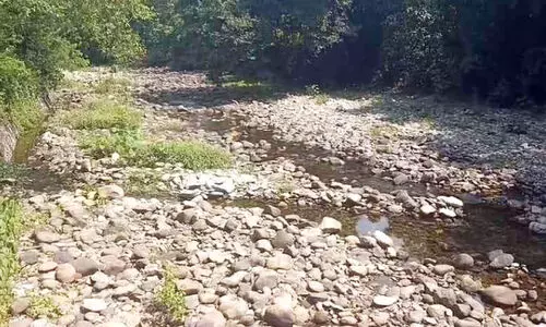 ആറളം പുനരധിവാസ മേഖല; ബ്ലോക്ക് 13ൽ കുടിവെള്ളമില്ലാതെ വലഞ്ഞ് കുടുംബങ്ങൾ