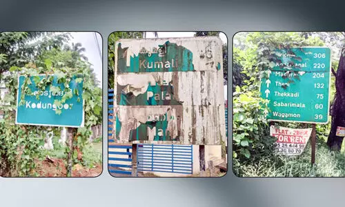 വഴി ചോദിച്ചുചോദിച്ച്​ പോകാം...  കാടുകയറി ദേശീയപാത ദിശാബോർഡുകൾ