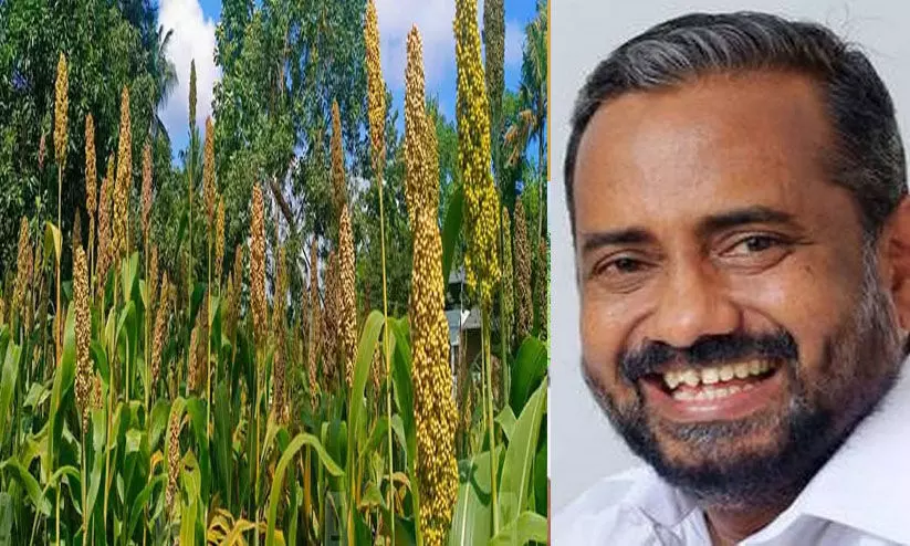 മില്ലറ്റുകൾ ആരോഗ്യകരമായ ജീവിതത്തിനുള്ള ഏറ്റവും നല്ല ഭക്ഷണം -പി. പ്രസാദ്