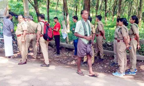 പി​ലാ​ച്ചോ​ല​യി​ൽ കാ​ട്ടാ​ന​ക്കൂ​ട്ടം ജ​നം ഭീ​തി​യി​ൽ