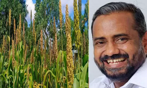 മില്ലറ്റുകൾ ആരോഗ്യകരമായ ജീവിതത്തിനുള്ള ഏറ്റവും നല്ല ഭക്ഷണം -പി. പ്രസാദ്