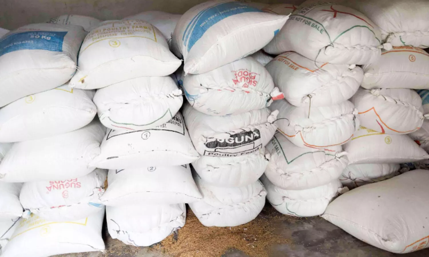 സ​പ്ലൈ​കോ സം​ഭ​ര​ണം വൈ​കു​ന്നു; നെ​ല്ലി​ന് കാ​വ​ലി​രു​ന്ന് മ​ടു​ത്ത് ക​ർ​ഷ​ക​ർ