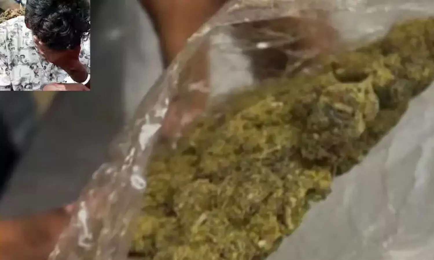 തൃശൂർ അരണാട്ടുകരയിൽ കഞ്ചാവ് വിൽക്കാനെത്തിയ ഒറീസ സ്വദേശി പിടിയിൽ