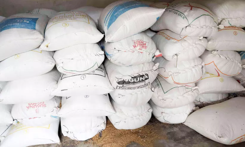 സപ്ലൈകോ സംഭരണം വൈകുന്നു; നെല്ലിന് കാവലിരുന്ന് മടുത്ത് കർഷകർ സപ്ലൈകോ സംഭരണം വൈകുന്നു; നെല്ലിന് കാവലിരുന്ന് മടുത്ത് കർഷകർ