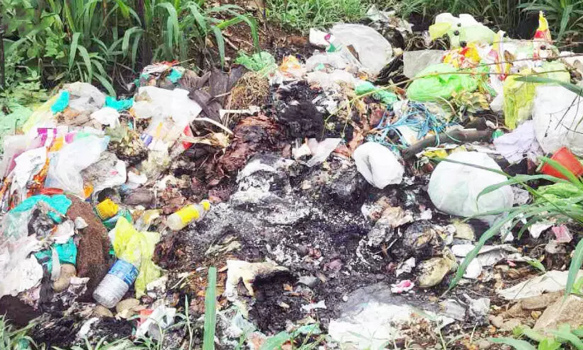 കാലടിയിൽ ഡെങ്കിപ്പനി പടരുന്നു; പ​ഞ്ചാ​യ​ത്ത്​ പ​രി​ധി​യി​ൽ 41 പേ​ര്‍ക്ക് രോ​ഗ​ബാ​ധ