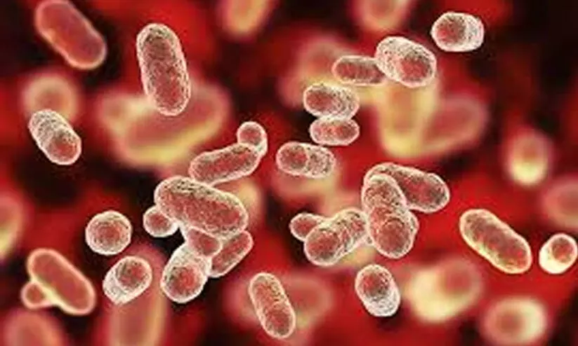 മോണയിലെ അപകടകാരികളായ ബാക്ടീരിയകൾ ഗുരുതര ഹൃദയ രോഗങ്ങൾക്ക് കാരണമാകുമെന്ന് പഠനം മോണയിലെ അപകടകാരികളായ ബാക്ടീരിയകൾ ഗുരുതര ഹൃദയ രോഗങ്ങൾക്ക് കാരണമാകുമെന്ന് പഠനം