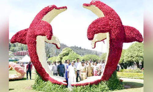 ഊ​ട്ടി പു​ഷ്പ​മേ​ള: റോ​സ് ഗാ​ർ​ഡ​നി​ൽ പ​നി​നീ​ർ പൂ ​പ്ര​ദ​ർ​ശ​നം തു​ട​ങ്ങി