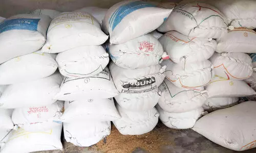 സ​പ്ലൈ​കോ സം​ഭ​ര​ണം വൈ​കു​ന്നു; നെ​ല്ലി​ന് കാ​വ​ലി​രു​ന്ന് മ​ടു​ത്ത് ക​ർ​ഷ​ക​ർ