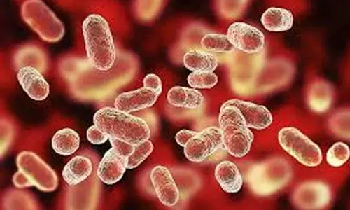 മോണയിലെ അപകടകാരികളായ ബാക്ടീരിയകൾ ഗുരുതര ഹൃദയ രോഗങ്ങൾക്ക് കാരണമാകുമെന്ന് പഠനം