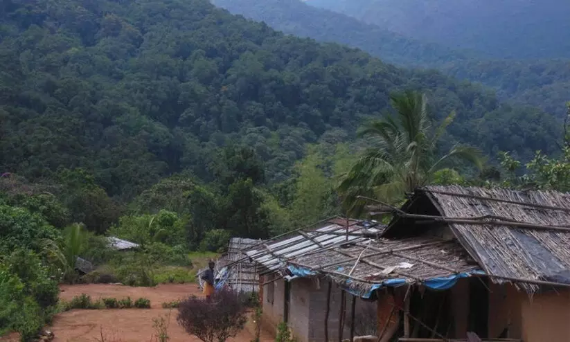 ഇടുക്കിയിൽ പട്ടികവർഗ വകുപ്പ് പ്രഖ്യാപിച്ച 1.87 കോടി രുപയുടെ പദ്ധതികൾ ആരംഭിച്ചില്ലെന്ന് റിപ്പോർട്ട്