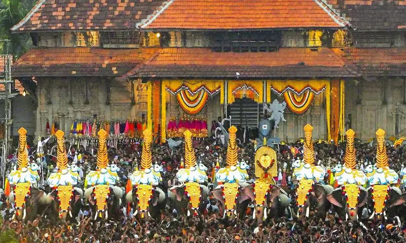 കണ്ണിലേയ്ക്ക് ലേസർ അടിച്ചതാണ് ആന ഓടാൻ കാരണമെന്ന് പാറമേക്കാവ് ദേവസ്വം