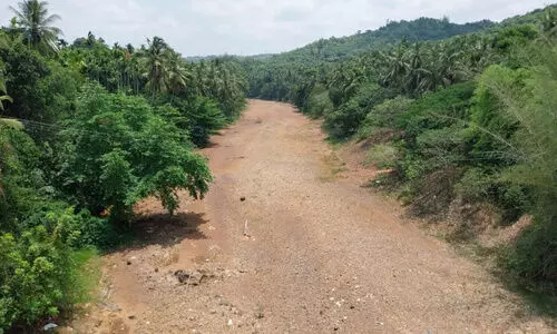 പുഴകൾ വറ്റിവരണ്ടു; കർഷകർ ആശങ്കയിൽ