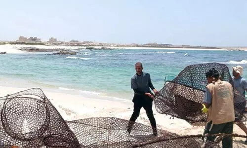 coral reefs cleaned in mirbat