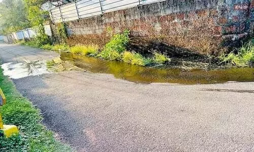 ശ​ങ്ക​രം​കു​ള​ങ്ങ​ര കൊ​ട്ടി​ലി​ൽ ലൈ​നി​ൽ ക​ക്കൂ​സ് മാ​ലി​ന്യം ത​ള്ളി