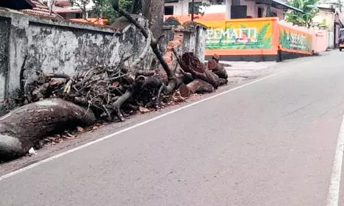 യാത്രക്കാർക്ക്​ ഭീഷണി എന്ന്​ മാറ്റും ഈ തടികൾ