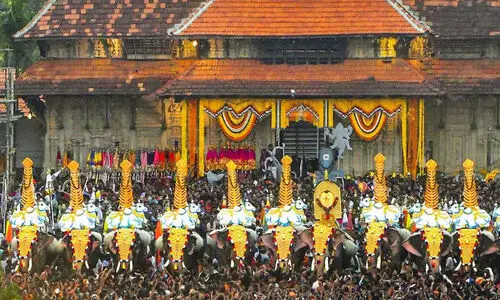 കണ്ണിലേയ്ക്ക് ലേസർ അടിച്ചതാണ് ആന ഓടാൻ കാരണമെന്ന് പാറമേക്കാവ് ദേവസ്വം