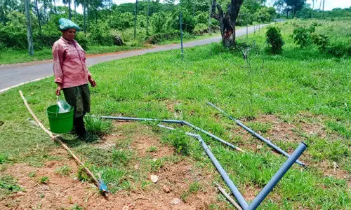 ആറളം ഫാമിലെ വൈദ്യുതി തൂക്കുവേലി കാട്ടാന തകർത്തു