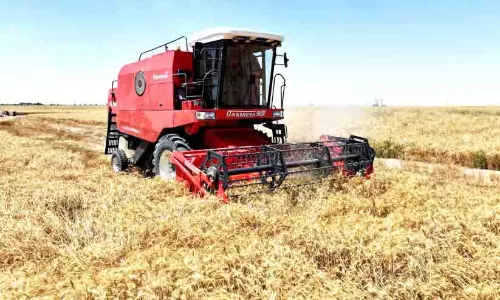 വി​ള​വെ​ടു​പ്പ് പു​രോ​ഗ​മി​ക്കു​ന്നു; പ്ര​തീ​ക്ഷി​ക്കു​ന്ന​ത് 7700 ട​ൺ ഗോ​ത​മ്പ്