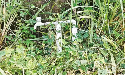 കുടിവെള്ളം തേടി ഏങ്ങണ്ടിയൂർ തീരദേശം കുടിവെള്ളം തേടി ഏങ്ങണ്ടിയൂർ തീരദേശം