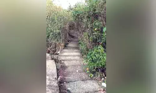 നാശോന്മുഖമായി വൈക്കം കായലോര ബീച്ച്​