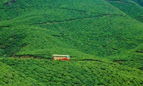 വയനാട്​ യാത്രയുമായി കെ.എസ്​.ആർ.ടി.സി ബജറ്റ്​ ടൂറിസം