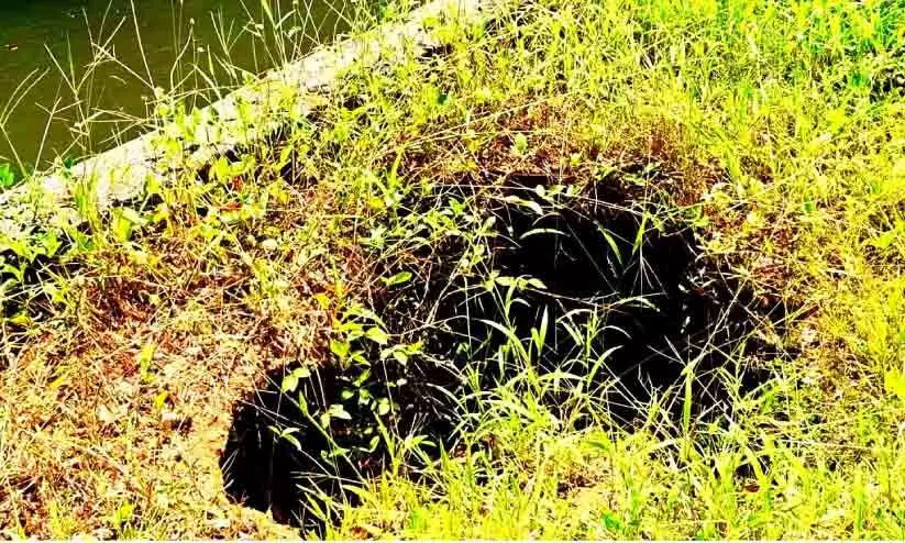 മോനൊടിയില്‍ കനാല്‍ ബണ്ടില്‍ ഗര്‍ത്തങ്ങള്‍; ഭീതിയോടെ നാട്ടുകാര്‍
