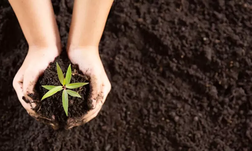 ‘വിത്തൂട്ട്’ : പരിസ്ഥിതി പുന:സ്ഥാപനത്തിനായി വനംവകുപ്പിന്റെ നവീനപദ്ധതി ‘വിത്തൂട്ട്’ : പരിസ്ഥിതി പുന:സ്ഥാപനത്തിനായി വനംവകുപ്പിന്റെ നവീനപദ്ധതി