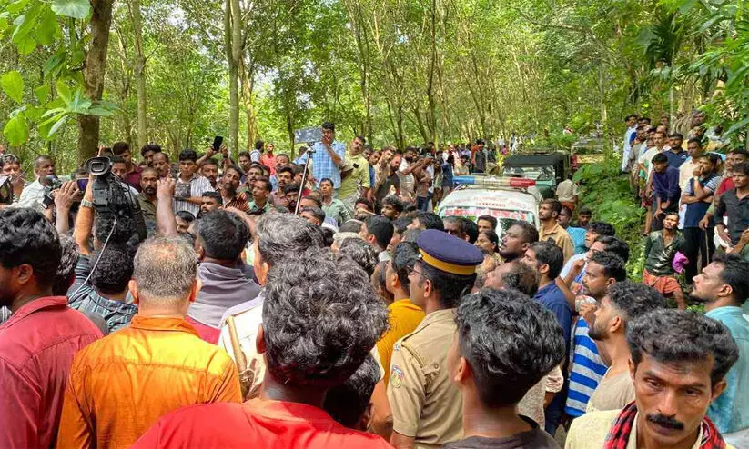 Kalikavu Tiger Attack Kalikavu Tiger Attack